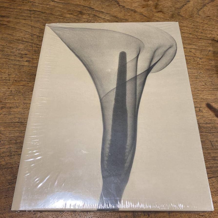 アート・デザイン・音楽 Dr. Dain L. Tasker アート・デザイン・音楽 Dr. Dain L. Tasker Dr. Dain L. Tasker
